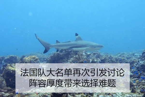 法国队大名单再次引发讨论 阵容厚度带来选择难题 | leyu